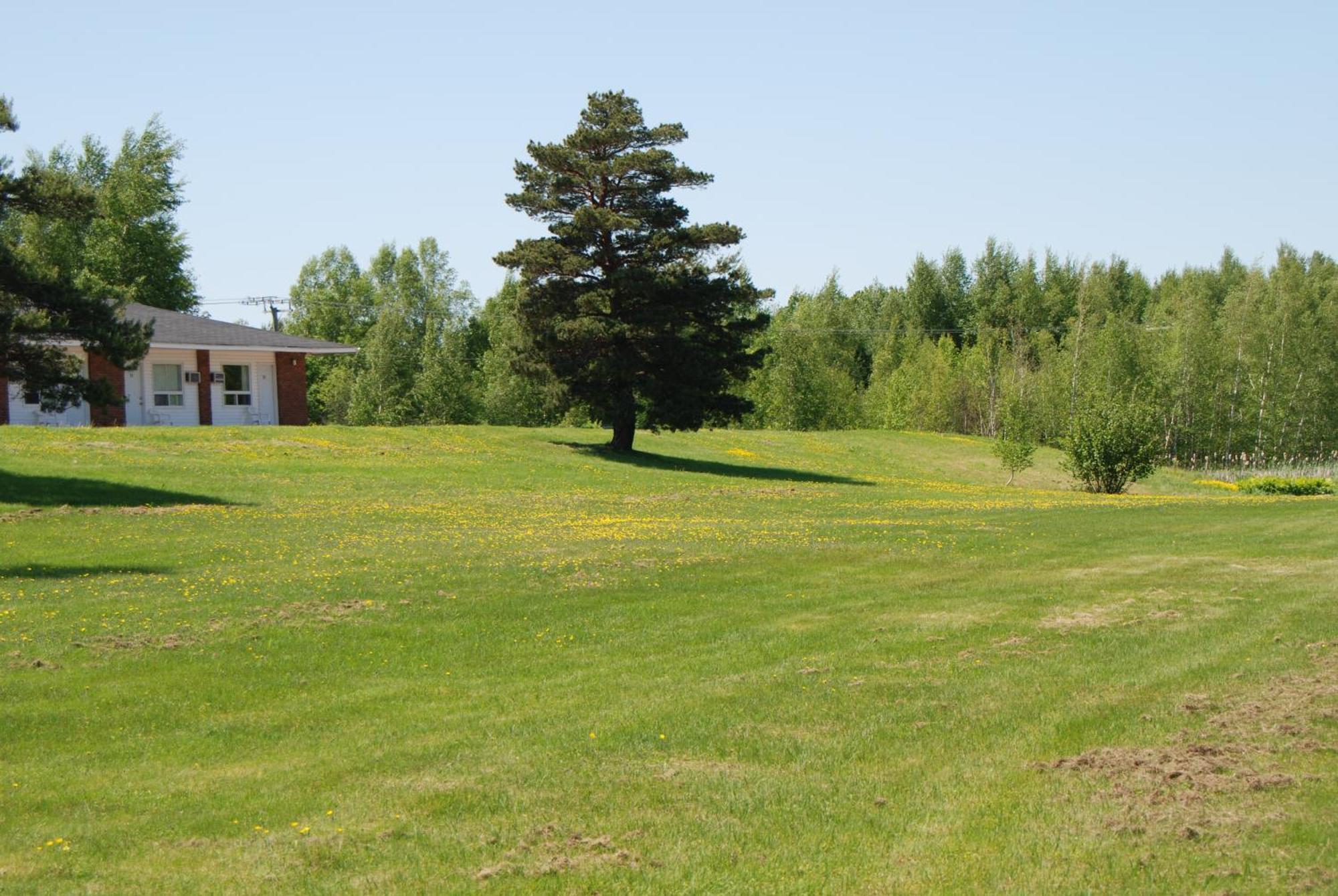 Tantramar Motel Sackville Eksteriør billede
